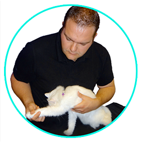 Ostéopathie Marseille Damien Titone